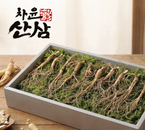 산양삼2.png
