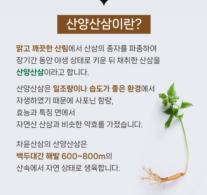 산양삼3.png