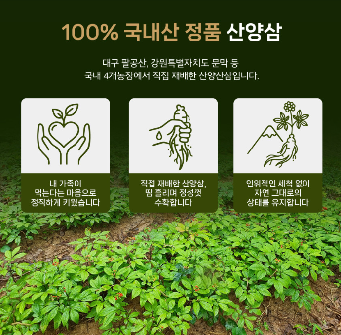 산양삼4.png